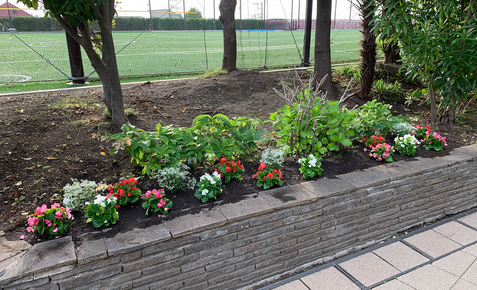 ガーデニング同好会