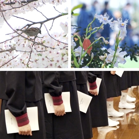 スクールライフ2