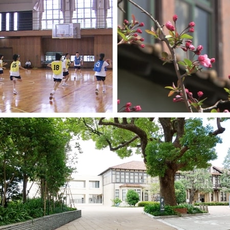 スクールライフ6