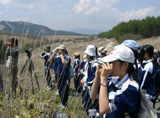 修学旅行
