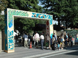 秋桜祭（文化祭）